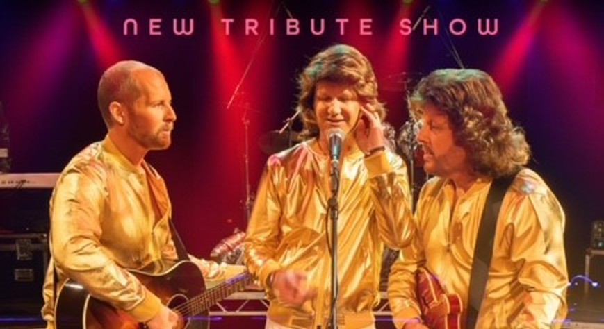 Bee Gees + Abba in Concert Experience